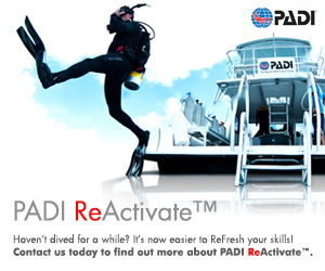 Tauchkurs Update PADI Mainz Wiesbaden Urlaub