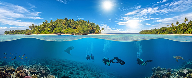 Dein Tauchschein im Urlaub: Open Water Diver Training bei der Tauchschule Seekuh in der Region Mainz-Wiesbaden-Frankfurt