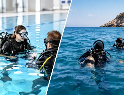 Pooltraining versus Freiwassertraining beim Tauchen